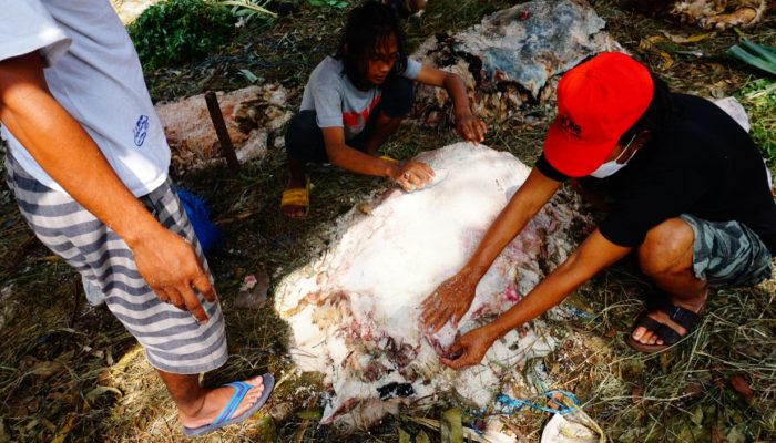 Foto: Pemburu Kulit Hewan Kurban Mulai Berdatangan di Kota Tangerang