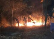 Lahan Kosong Diduga Dibakar, Damkar Kesulitan Menjinakkan Api