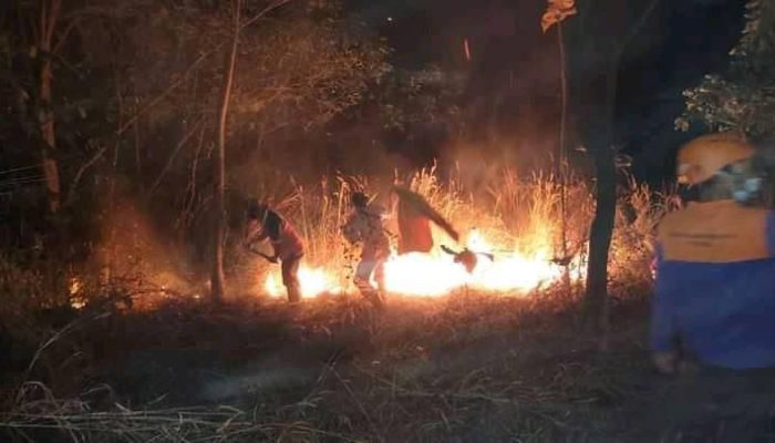 Sepanjang 2024 Kebakaran di Cilegon 157 Kejadian, 18 Kejadian Karena Puntung Rokok