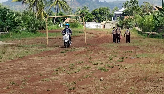 Tidak Kunjung Dibangun, Lahan JLU Cilegon Senilai Ratusan Miliar Ditanami Petani dan Jadi Lapangan Bola