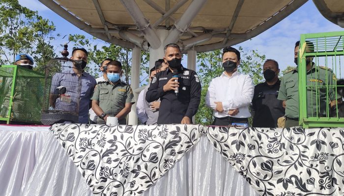 Nekat! Pemilik Rumah Makan di Cilegon Pelihara Lutung. Langsung Diancam Bui