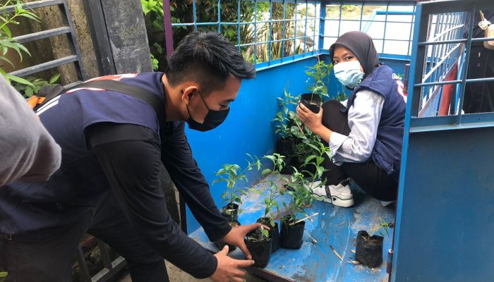 Dukung Program DLH, Aksi Relawan PMI Dukung Kampung Iklim