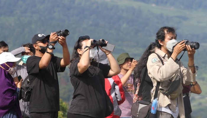 Foto: Hunting Foto Burung Raptor Bermigrasi ke Indonesia