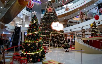 DSC_0163.JPG