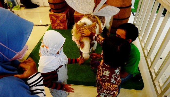 Libur Nataru, TangCity Suguhkan Rekreasi Peternakan