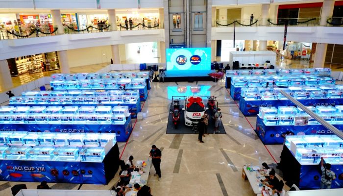 Foto: Mall Alam Sutra Gelar Kontes Ikan Arwana Internasional
