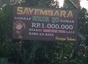 Kerap Ngintip Ibu-Ibu, Salah Seorang Warga Waringinurung Gelar Sayembara ‘Tangkap Kolor Ijo’