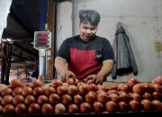 Foto: Pedagang Mengeluh Harga Telur Naik Saat Nataru