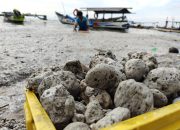 Isi Perut Gunung Anak Krakatau Sampai ke Tanjung Peni, Nelayan Panen Raya Batu Apung