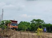 Tanaman Nelayan Tanjung Peni di Lahan PCM di Tabrak Proyek Pembuangan Pasir PT Lotte Chemical, Nelayan Mengaku Kecewa