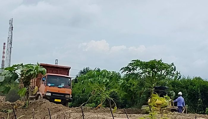 Tanaman Nelayan Tanjung Peni di Lahan PCM di Tabrak Proyek Pembuangan Pasir PT Lotte Chemical, Nelayan Mengaku Kecewa