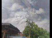 Andi Arief: Tak Ada Peringatan Dini Semeru Meletus