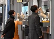 Korea Selatan Memiliki Rekor Jumlah Pasien COVID yang Dianggap Serius atau Kritis