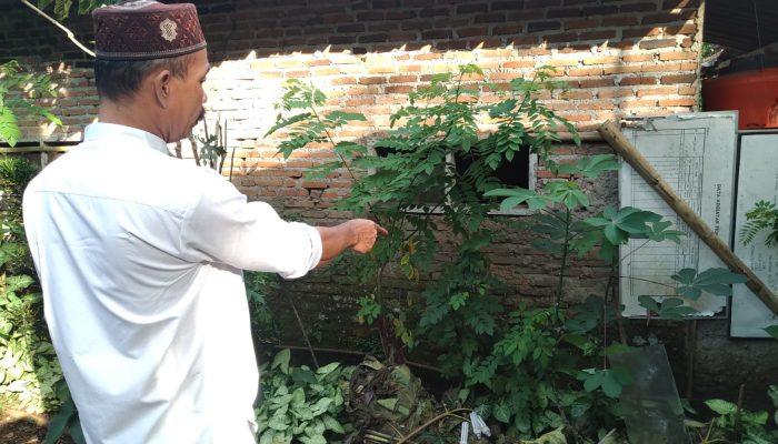 Gila! Operasi Semalam Maling Gondol Tujuh Handphone dari Tiga Rumah berbeda di Pandeglang