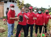 Mendapat Intruksi dari Megawati, Bantaran Sungai Cisadane Ditanam Mangrove