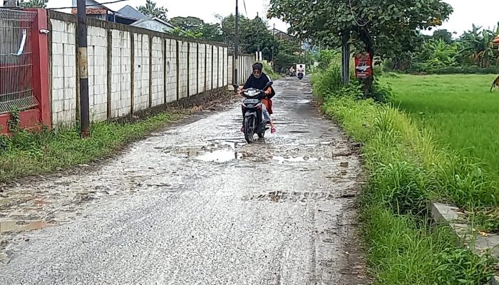 Jalan di Kota Baja Rusak Parah. Anggota DPRD Desak Pemkot Cepat Diperbaiki