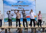 Jalin Kerjasama, Perusahaan Raksasa Korea dan BUMD Cilegon Tanam Mangrove di Lontar