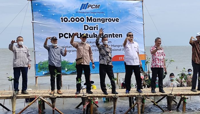 Jalin Kerjasama, Perusahaan Raksasa Korea dan BUMD Cilegon Tanam Mangrove di Lontar