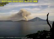 Gunung Anak Krakatau Keluarkan Asap Tinggi, Ini Dugaan Penyebabnya.