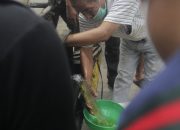 Puluhan Pedagang Minyak Goreng Curah di Tangerang Dapat Jatah