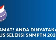 Berikut Cara Mengecek Hasil Seleksi SNMPTN 2022.