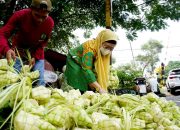 Foto: Pedagang Kulit Ketupat Mulai Terlihat Jelang Qunut