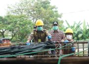 Menteri Pertanian Turun Gunung Pantau Lalu Lintas Hewan di Cilegon. Masyarakat Jangan Panik