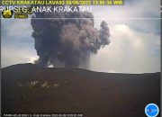 Gunung Anak Krakatau Kembali Menunjukan Tajinya. Ratusan Meter Abu Vulkanik Disemburkan