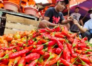 Harga Cabai ‘Setan’ Selangit, Pedagang Menjerit