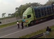 Nekat! Demi Konten, Sejumlah Bocah Berhentikan Truk Galon di Tol