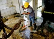 Foto: RPH Lakukan Perawatan Rutin