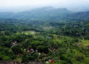 Foto: Desa Unik di Kabupaten Gunung Kidul Yogyakarta