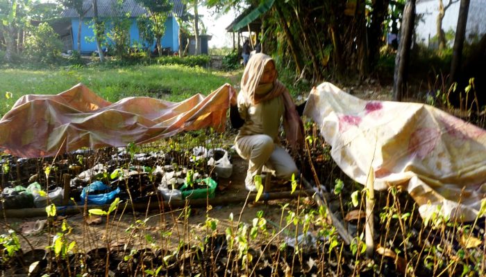 Foto: Kampanyekan Mangrove Dengan Ecoprint