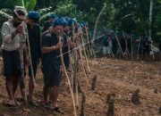 Warga Baduy Dalam dan Luar Dilarang Menjual Ini