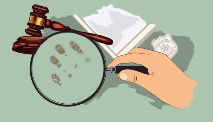 Awas Jangan Salah Sebut, Penyelidikan dan Penyidikan. Ini Perbedaannya