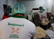 Foto: Bahan Baku Mie Ayam Naik