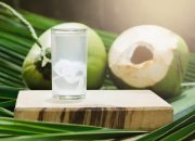 Selain Cegah Dehidrasi, 6 Manfaat Konsumsi Air Kelapa untuk Kesehatan. Nomor 2 Paling Dicari