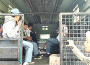 Belasan Pelajar Berseragam SMA di Angkut Satpol PP Cilegon. Ini yang Dilakukan di Taman Kota…