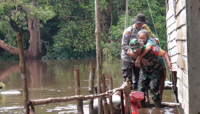 Petugas Evakuasi Nenek 75 Tahun di Wilayah Terisolir Saat Banjir