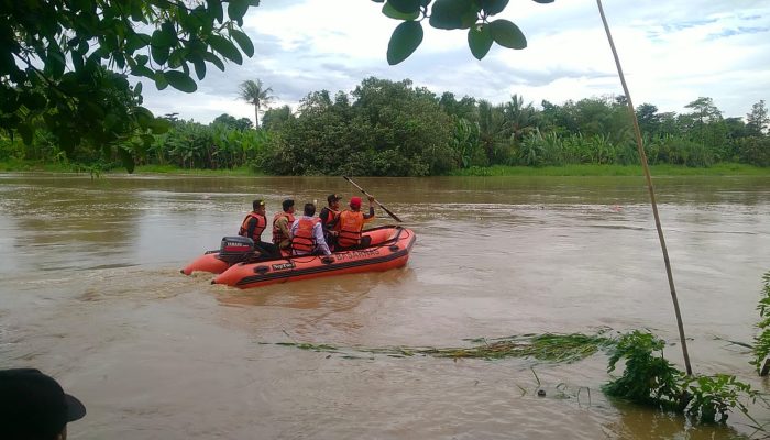 Cari Kayu Saat Arus Sungai Ciujung Deras, Salah Seorang Dikabarkan Hanyut