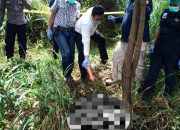Pekerja Babat Rumput Temukan Kerangka Manusia di Kota Serang
