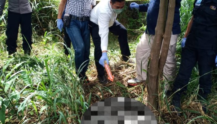Pekerja Babat Rumput Temukan Kerangka Manusia di Kota Serang