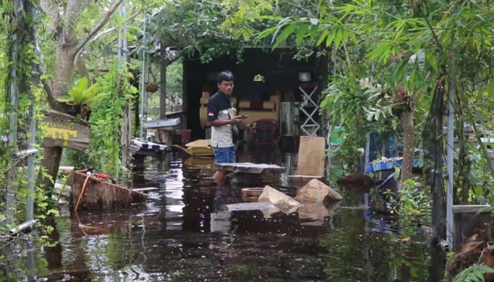 Lahannya Terendam Banjir, Petani Madu Kelulut Sesalkan Hal ini