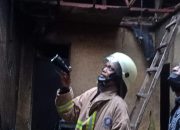 Sijago Merah Kembali Ngamuk di Rumah Warga di Cilegon
