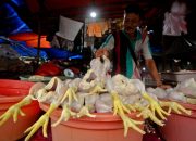 Foto: Harga Pokok Jelang Nataru Masih Dianggap Wajar