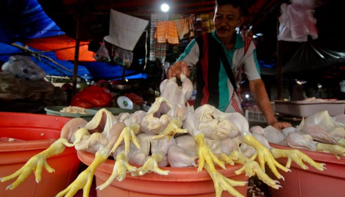 Foto: Harga Pokok Jelang Nataru Masih Dianggap Wajar