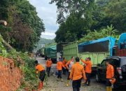 Diterjang Angin Kencang, Pohon Tumbang di Cikuasa Atas Buat Arus Lalin Sempat Macet