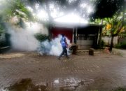 Foto: Cegah DBD, PMI Lakukan Penyemprotan Foging