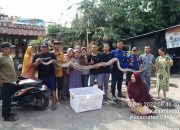 Bersarang di Pohon Bambu, Petugas Damkar Cilegon Evakuasi Ular Piton 4 Meter