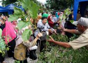 Foto: DKP Bagikan 1000 Bibit Tanaman Sayuran